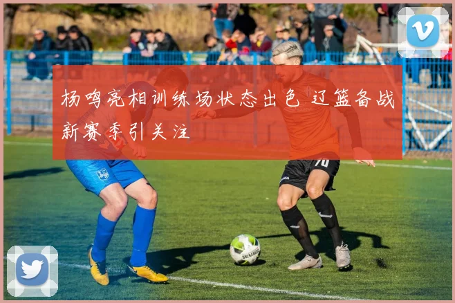 杨鸣亮相训练场状态出色 辽篮备战新赛季引关注