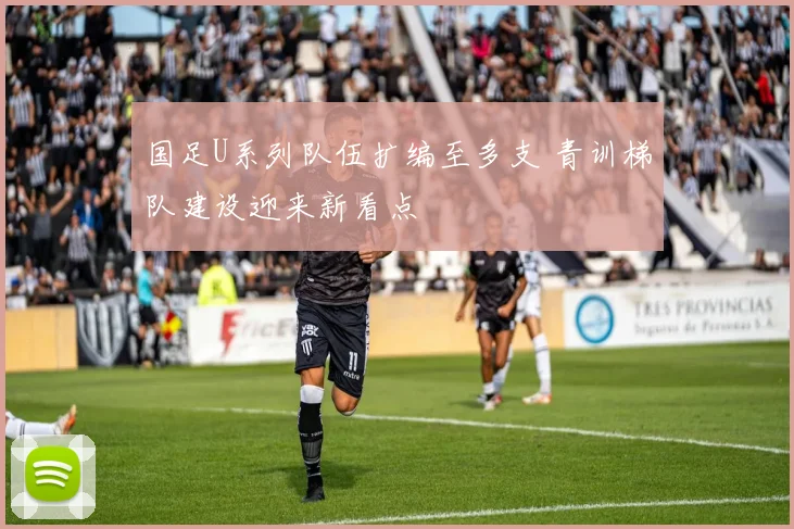 国足U系列队伍扩编至多支 青训梯队建设迎来新看点